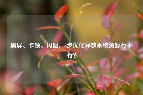 黑屏、卡顿、闪退，3步优化释放系统资源行不行？
