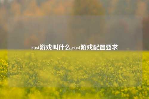 rust游戏叫什么,rust游戏配置要求