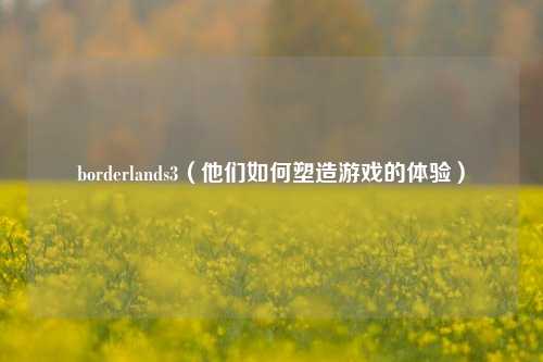 borderlands3（他们如何塑造游戏的体验）