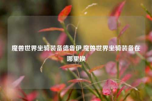 魔兽世界坐骑装备德鲁伊,魔兽世界坐骑装备在哪里换