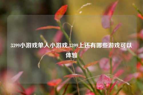 3399小游戏单人小游戏,3399上还有哪些游戏可以体验