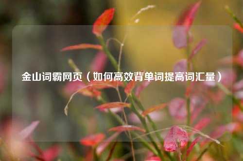 金山词霸网页（如何高效背单词提高词汇量）