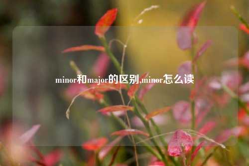 minor和major的区别,minor怎么读