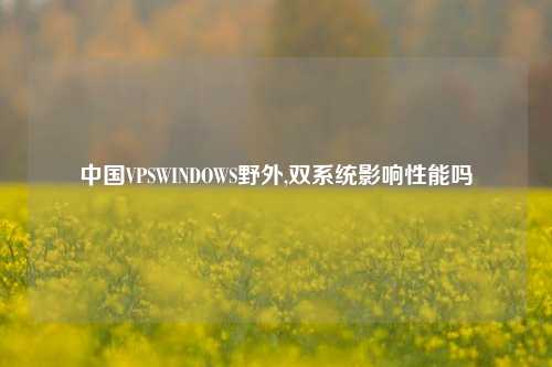 中国VPSWINDOWS野外,双系统影响性能吗