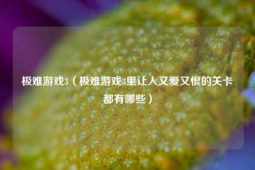 极难游戏3（极难游戏3里让人又爱又恨的关卡都有哪些）