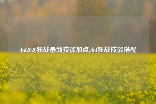 dnf2020狂战最新技能加点,dnf狂战技能搭配