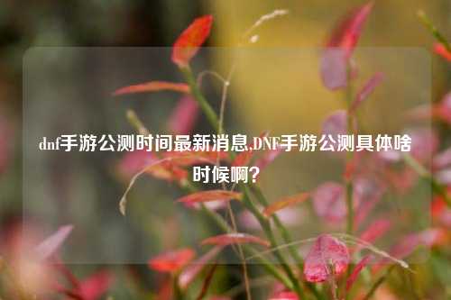 dnf手游公测时间最新消息,DNF手游公测具体啥时候啊？