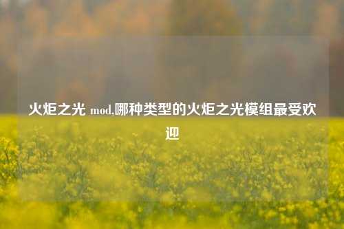 火炬之光 mod,哪种类型的火炬之光模组最受欢迎
