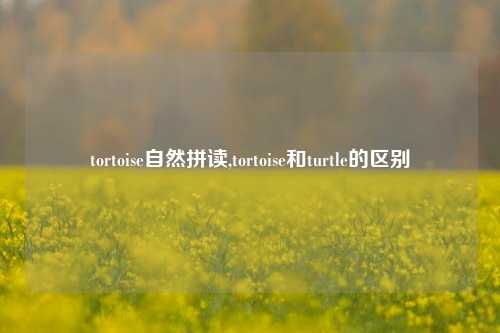 tortoise自然拼读,tortoise和turtle的区别