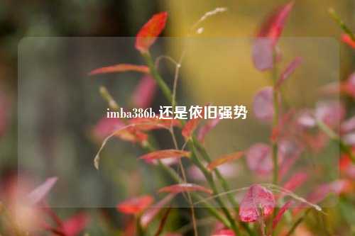 imba386b,还是依旧强势