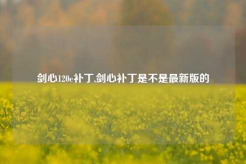 剑心120e补丁,剑心补丁是不是最新版的