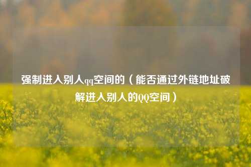 强制进入别人qq空间的（能否通过外链地址破解进入别人的QQ空间）