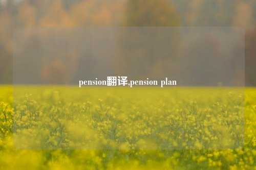 pension翻译,pension plan