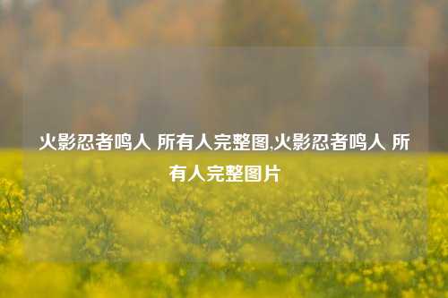 火影忍者鸣人 所有人完整图,火影忍者鸣人 所有人完整图片