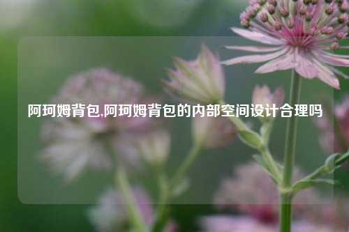 阿珂姆背包,阿珂姆背包的内部空间设计合理吗