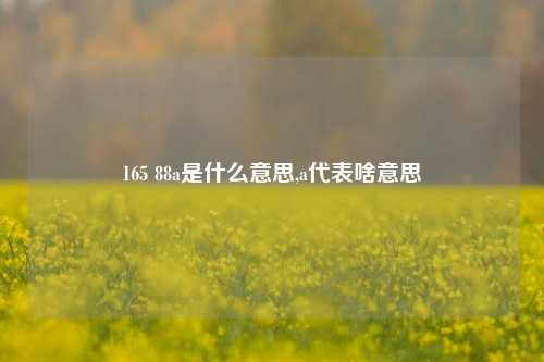 165 88a是什么意思,a代表啥意思