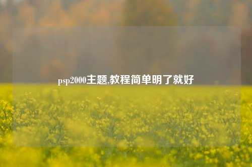 psp2000主题,教程简单明了就好