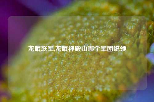 龙眠联军,龙眠神殿由哪个军团统领