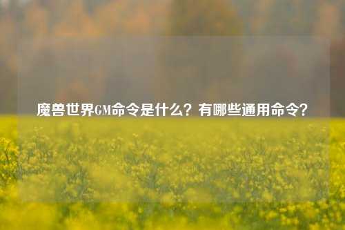 魔兽世界GM命令是什么？有哪些通用命令？