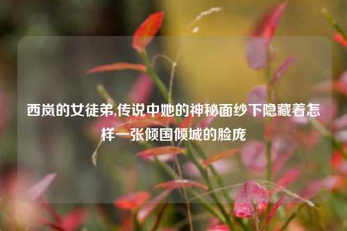 西岚的女徒弟,传说中她的神秘面纱下隐藏着怎样一张倾国倾城的脸庞