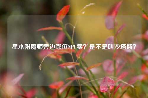 星木附魔师旁边哪位NPC卖？是不是叫沙塔斯？