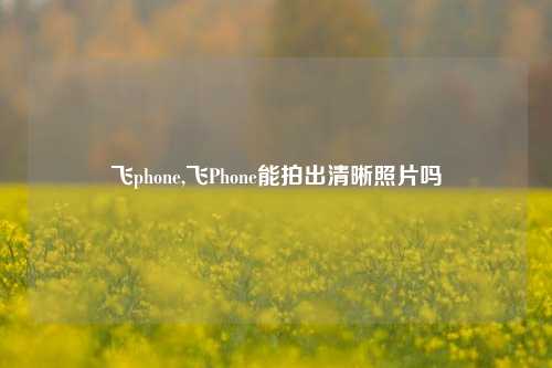 飞phone,飞Phone能拍出清晰照片吗
