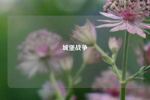 城堡战争
