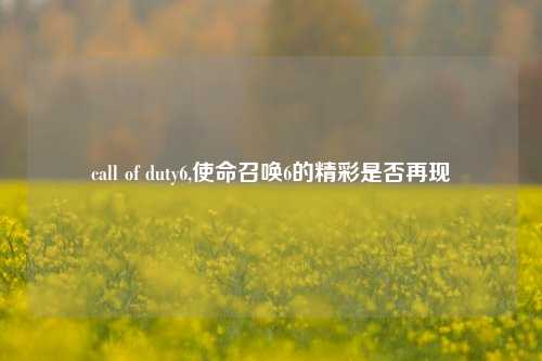 call of duty6,使命召唤6的精彩是否再现