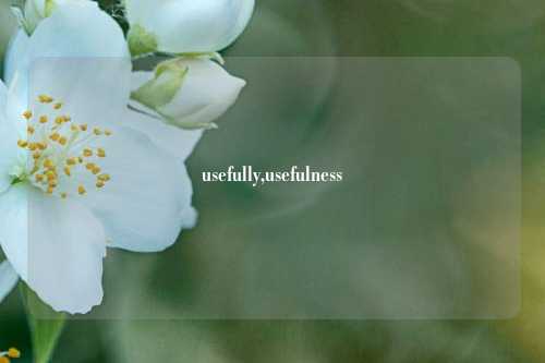 usefully,usefulness