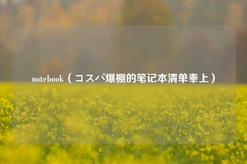notebook（コスパ爆棚的笔记本清单奉上）