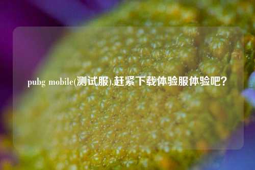 pubg mobile(测试服),赶紧下载体验服体验吧？