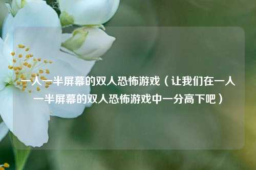 一人一半屏幕的双人恐怖游戏（让我们在一人一半屏幕的双人恐怖游戏中一分高下吧）