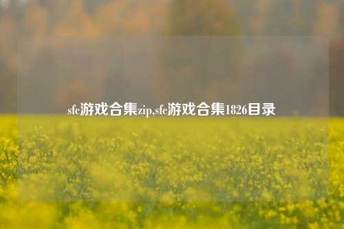 sfc游戏合集zip,sfc游戏合集1826目录