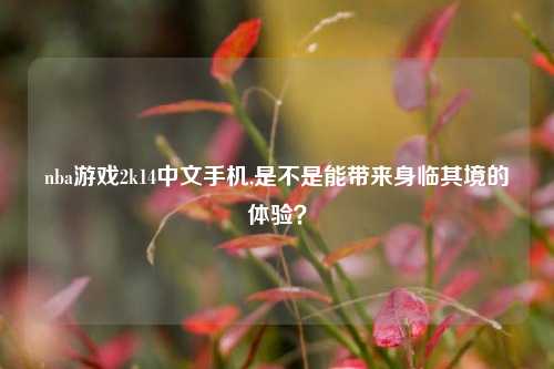 nba游戏2k14中文手机,是不是能带来身临其境的体验？
