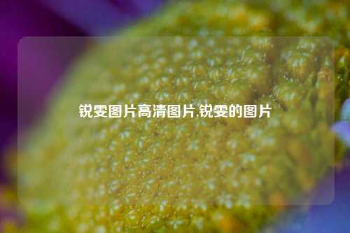 锐雯图片高清图片,锐雯的图片