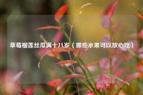 草莓榴莲丝瓜满十八岁（哪些水果可以放心吃）