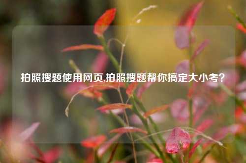 拍照搜题使用网页,拍照搜题帮你搞定大小考？
