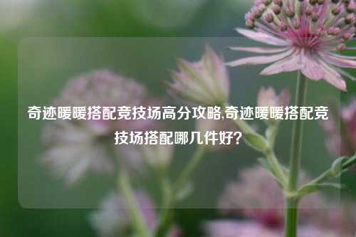 奇迹暖暖搭配竞技场高分攻略,奇迹暖暖搭配竞技场搭配哪几件好？