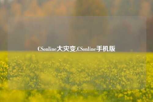 CSonline大灾变,CSonline手机版