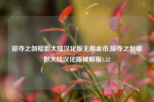掠夺之剑暗影大陆汉化版无限金币,掠夺之剑暗影大陆汉化版破解版1.52