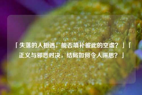 「失落的人相遇，能否填补彼此的空虚？」「正义与邪恶对决，结局如何令人深思？」