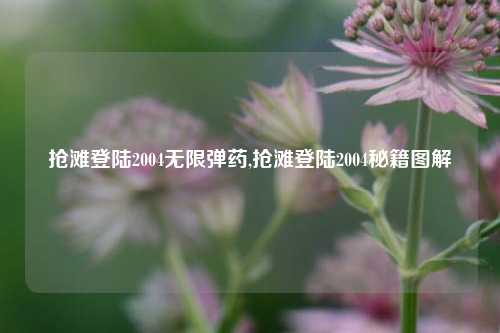 抢滩登陆2004无限弹药,抢滩登陆2004秘籍图解