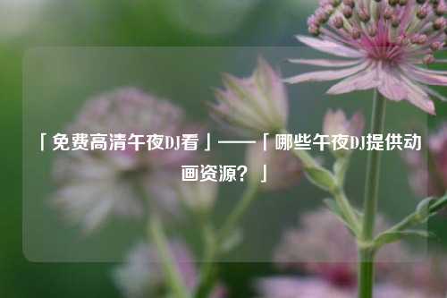 「免费高清午夜DJ看」——「哪些午夜DJ提供动画资源？」
