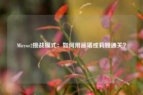 Mirror2挑战模式：如何用丽塔或莉娅通关？