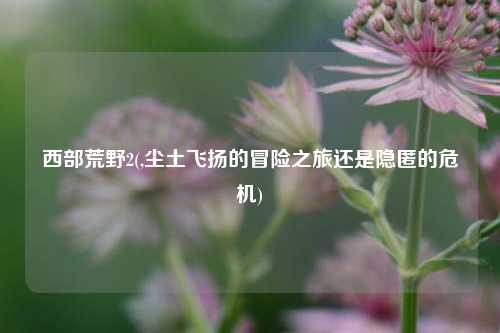 西部荒野2(,尘土飞扬的冒险之旅还是隐匿的危机)