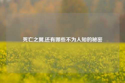 死亡之翼,还有哪些不为人知的秘密