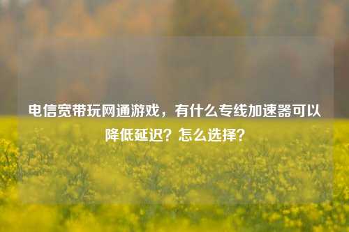 电信宽带玩网通游戏，有什么专线加速器可以降低延迟？怎么选择？