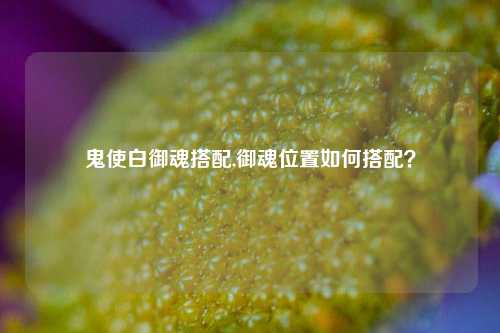 鬼使白御魂搭配,御魂位置如何搭配？
