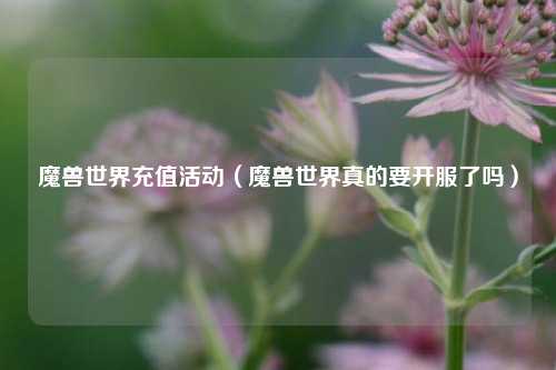 魔兽世界充值活动（魔兽世界真的要开服了吗）
