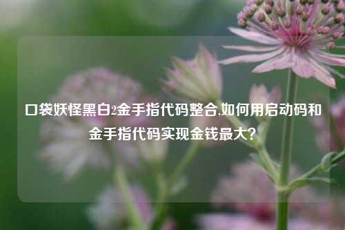 口袋妖怪黑白2金手指代码整合,如何用启动码和金手指代码实现金钱最大？